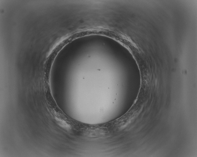 X0000063441256200601201146