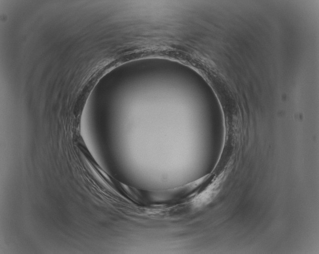 X0000063441257200601201146