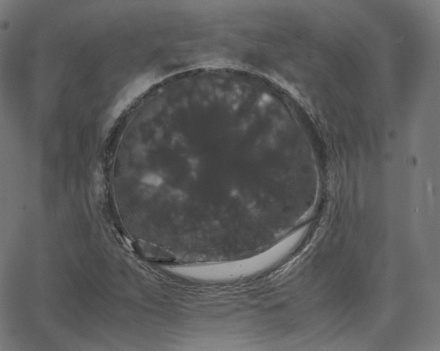X0000063441263200601201146