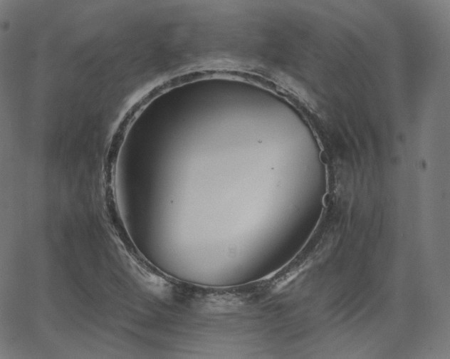 X0000063441264200601201146