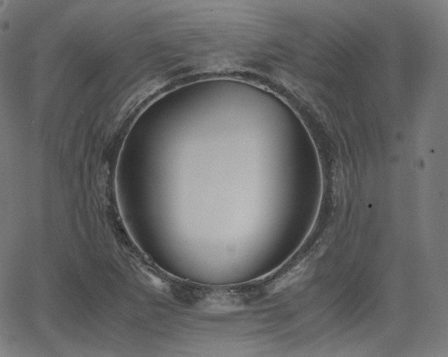 X0000063441265200601201146
