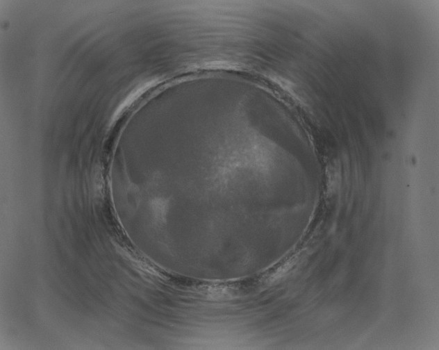 X0000063441266200601201146