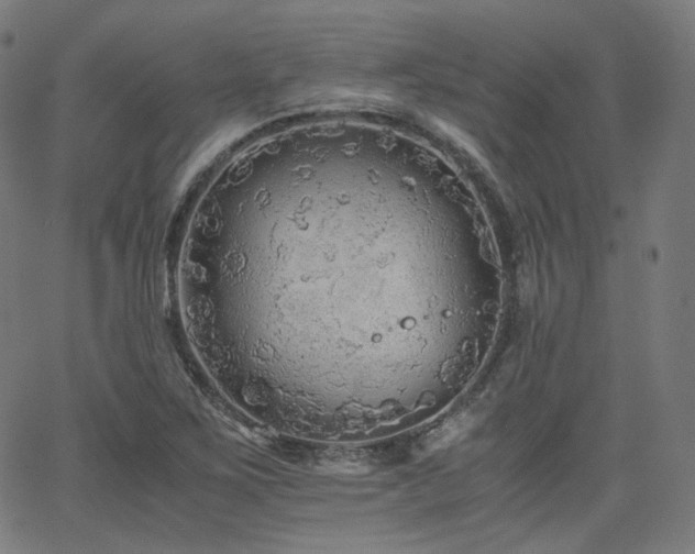 X0000063441267200601201146