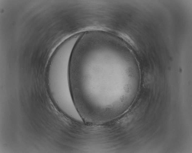 X0000063441268200601201146