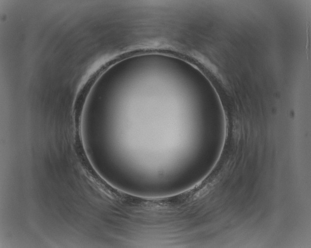 X0000063441270200601201145