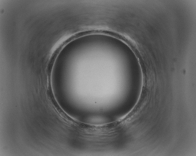 X0000063441271200601201145