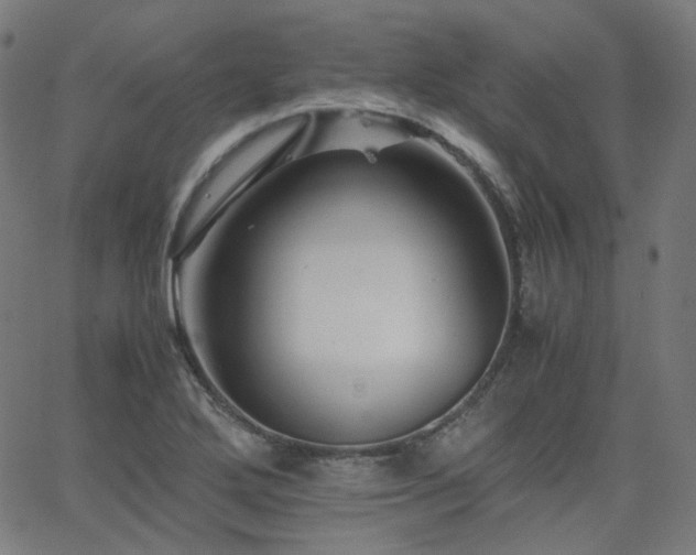 X0000063441272200601201145