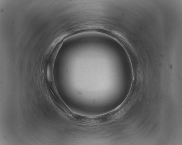 X0000063441273200601201145