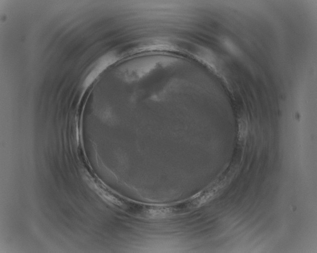 X0000063441274200601201145