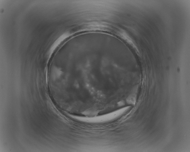 X0000063441275200601201145