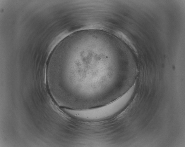 X0000063441276200601201145