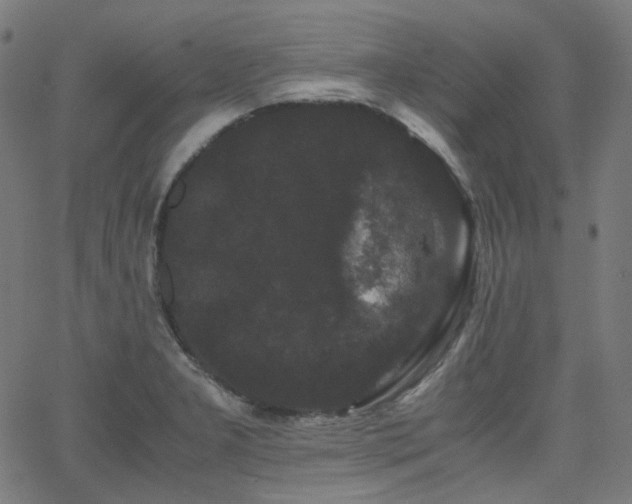 X0000063441277200601201145