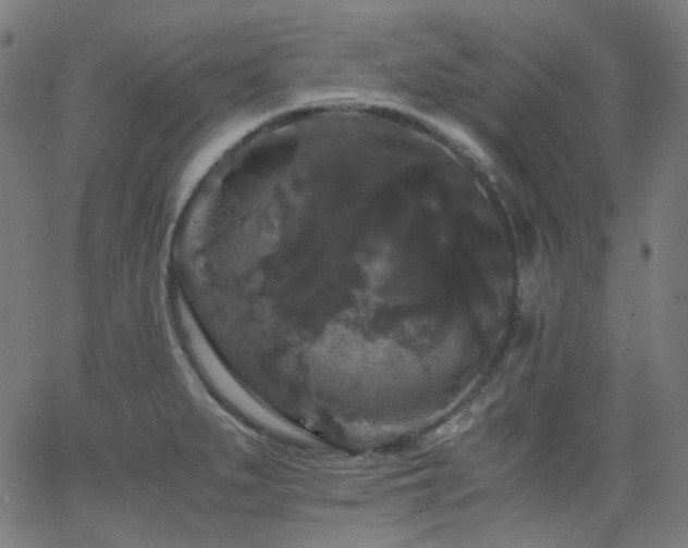 X0000063441279200601201145