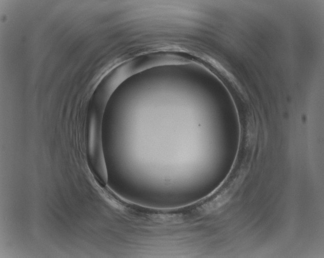 X0000063441281200601201145