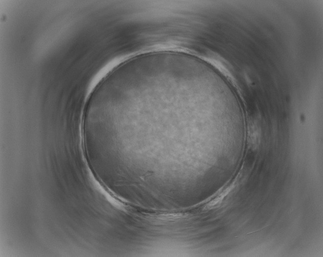 X0000063441294200601201145