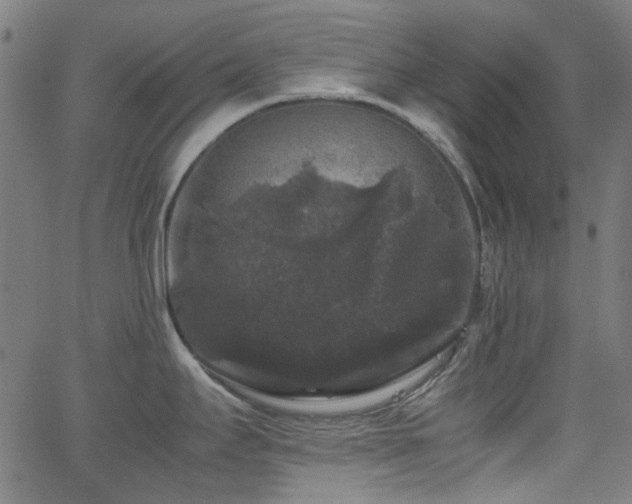 X0000063441295200601201145