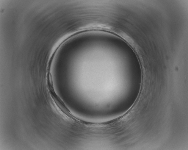 X0000063441296200601201145