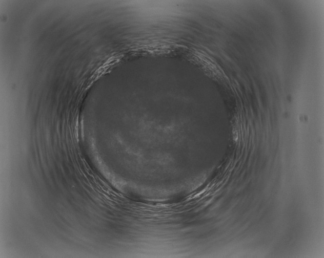 X0000063441298200601201144