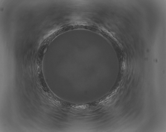 X0000063441303200601201144