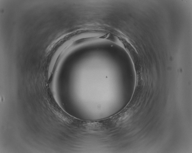 X0000063441304200601201144