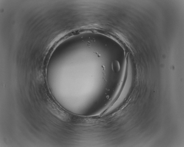 X0000063441308200601201144