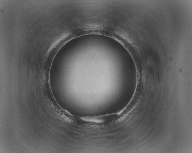 X0000063441309200601201144