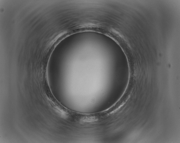 X0000063441313200601201145