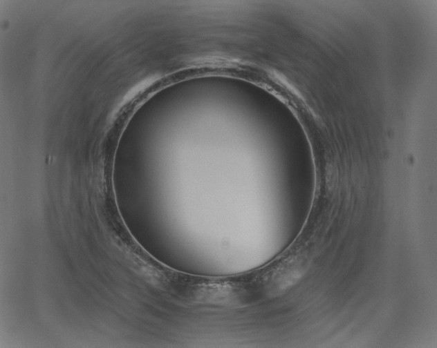 X0000063441315200601201145