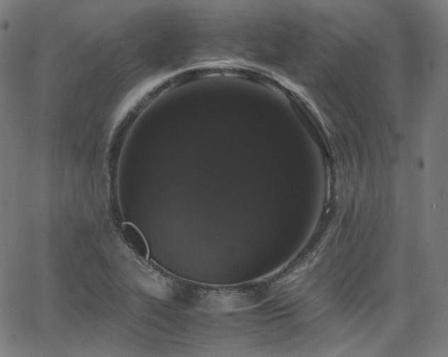 X0000063441319200601201145