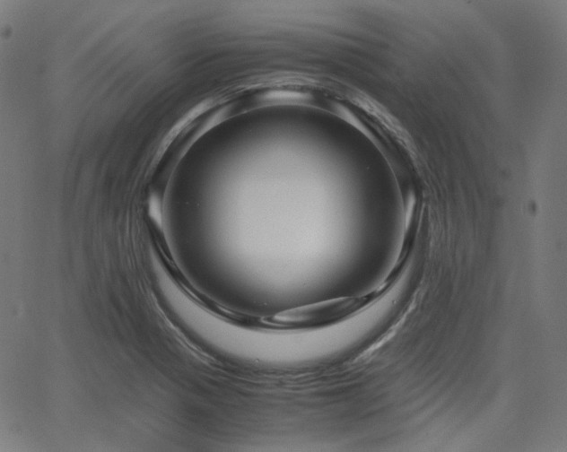 X0000063441321200601201145