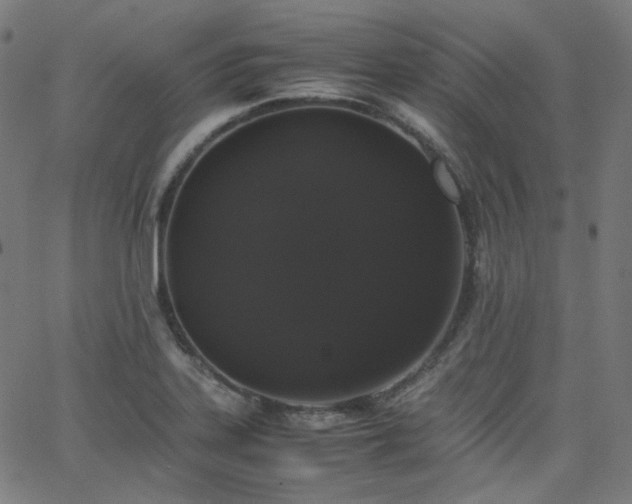 X0000063441323200601201145