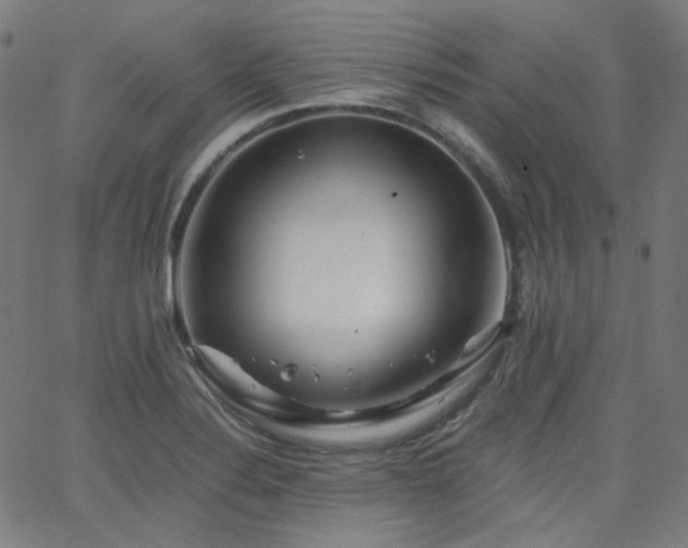X0000063441324200601201145