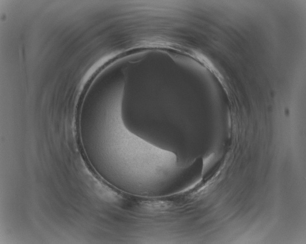 X0000063441331200601201145