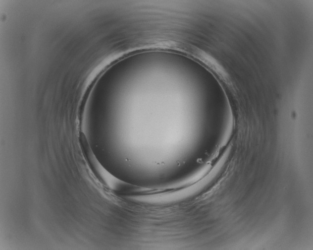 X0000063441332200601201145