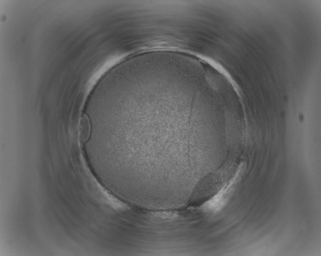 X0000063441333200601201145
