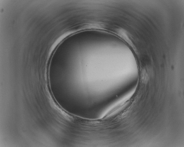 X0000063441339200601201145