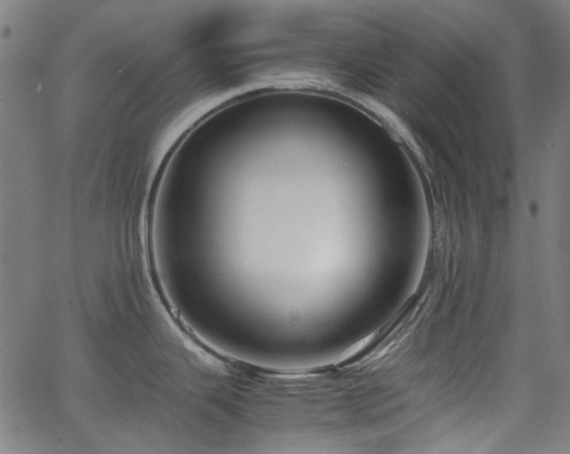 X0000063441343200601201145