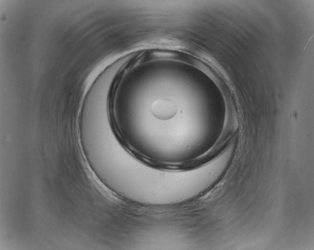 X0000063441344200601201145