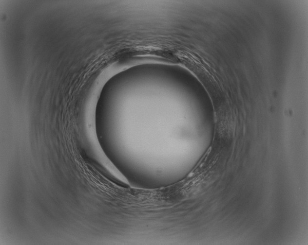 X0000063441345200601201144