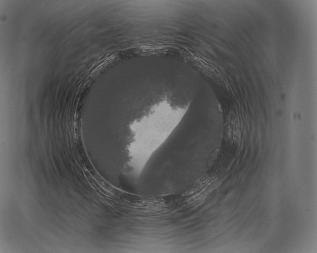 X0000063441346200601201144