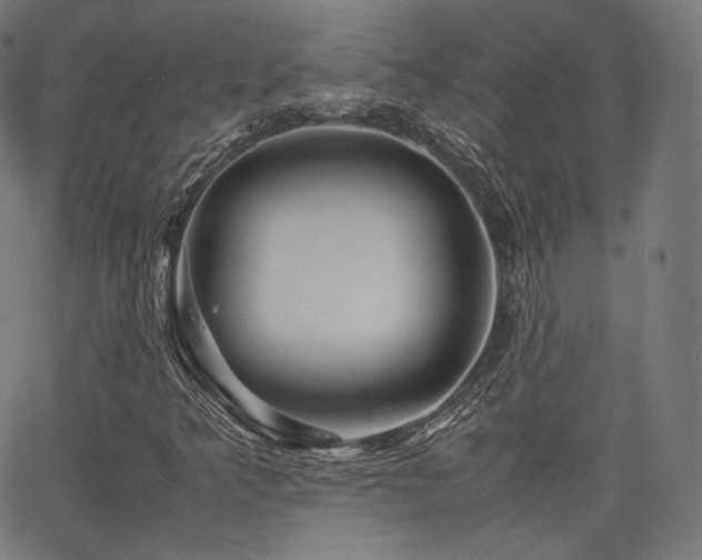 X0000063441349200601201144