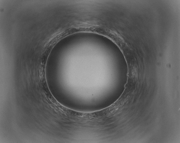 X0000063441350200601201144