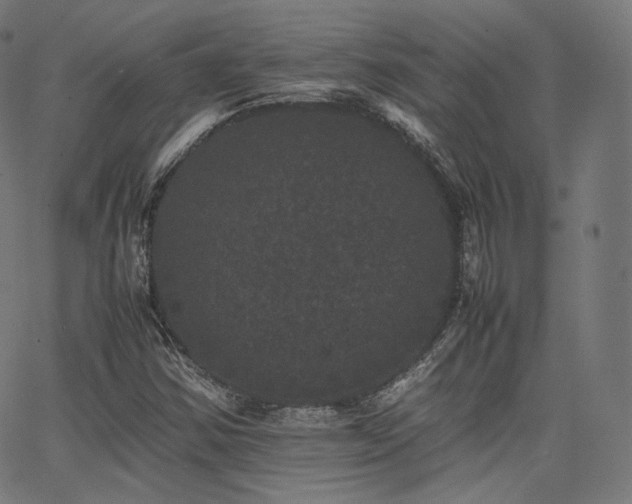 X0000063441354200601201144