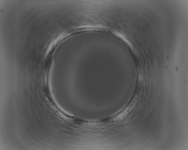 X0000063441357200601201144