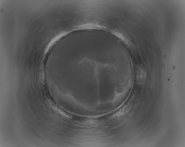 X0000063441358200601201144