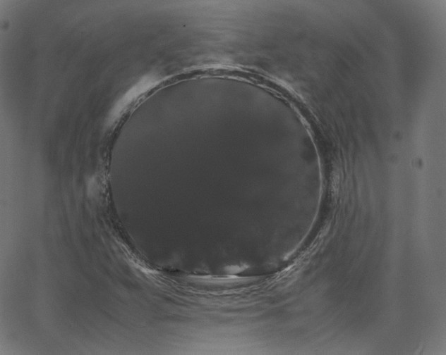 X0000063441359200601201144