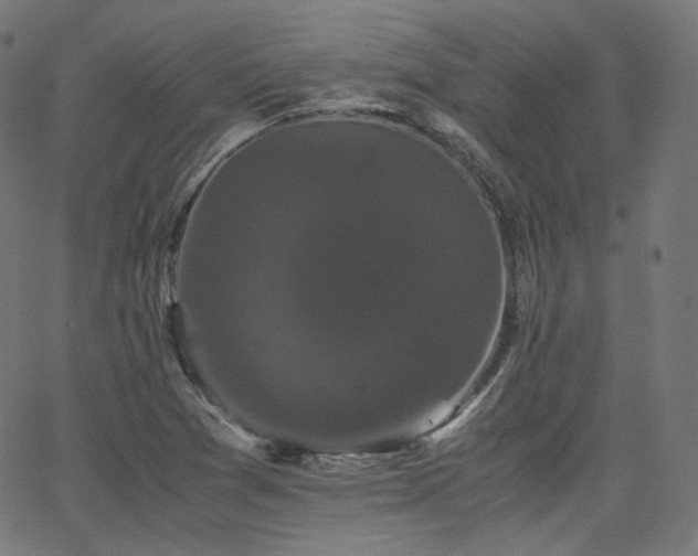 X0000063441361200601201144