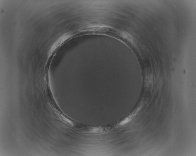 X0000063441362200601201144