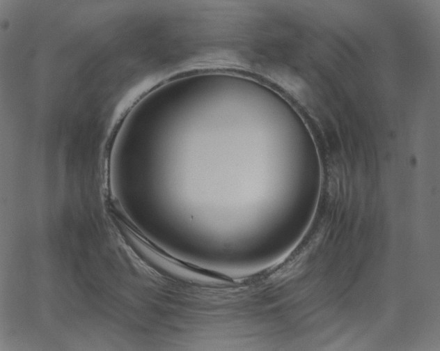 X0000063441366200601201144