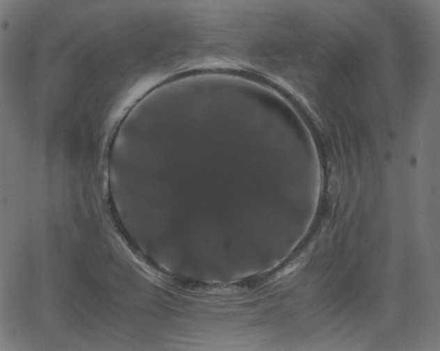 X0000063441367200601201144